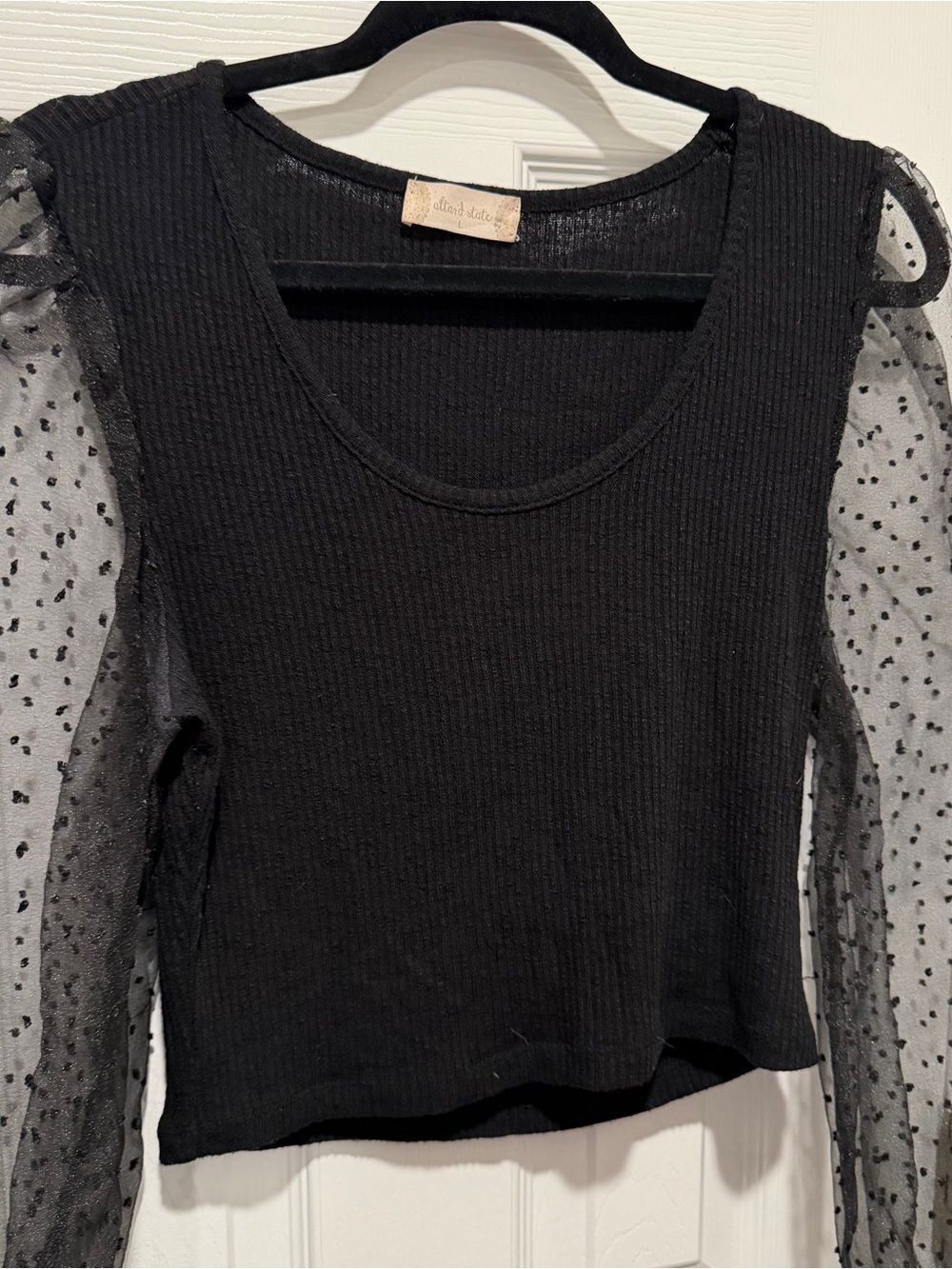 Altar'd State Black Sheer Swiss Dot Puff Sleeve Top Size Large